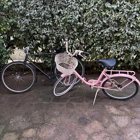 Il Nido Di Lägenhet Cervia